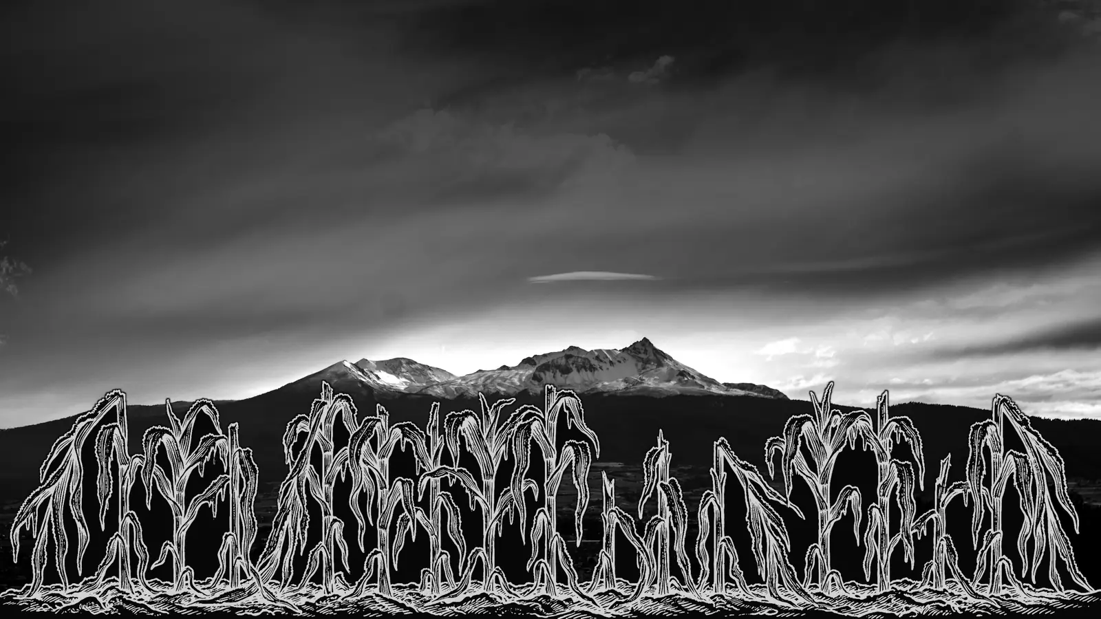 El Nevado de Toluca con nieve en la cima, de noche. Al frente, un grabado de una hilera de maíz quemado por la helada.